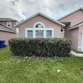 Bush Trimming by JoJo property services LLC reviewed on May 8, 2022