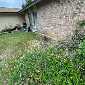 Bush Trimming by R &M landscaping. reviewed on March 13, 2025