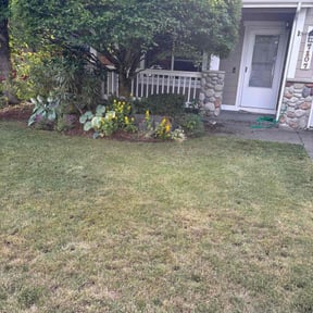 Bush Trimming by KJ's Yardworks reviewed on June 16, 2025