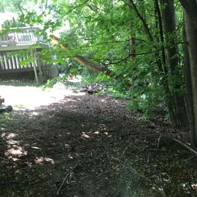Leaf Removal by Herrera Lawn Maintenance reviewed on February 1, 2022