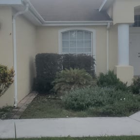 Bush Trimming by JJ&D Property Management reviewed on June 27, 2025