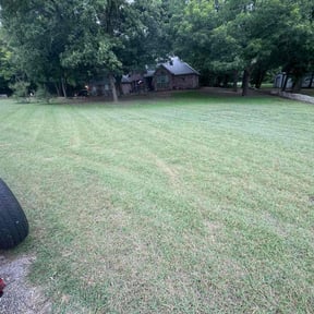 Flower Bed Weeding by Perfectionist Landscape reviewed on June 13, 2025