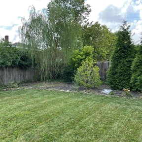 Flower Bed Weeding by LSLTDallas/FortWorthTruGreen reviewed on June 11, 2025