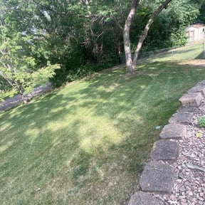 Bush Trimming by Twizted Kutz reviewed on May 27, 2022