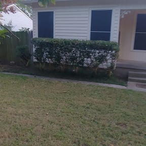 Bush Trimming by Texas Southern reviewed on April 13, 2025