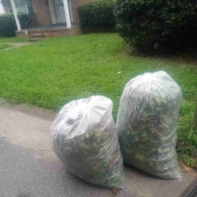 Bush Trimming by Gator Cutz Lawn Care, LLC reviewed on October 21, 2022