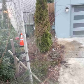 Leaf Removal by Undercut Lawn Care reviewed on August 13, 2024