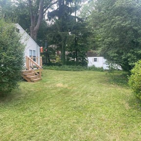 Cleanups by Kelsie's lawn pros reviewed on May 3, 2022
