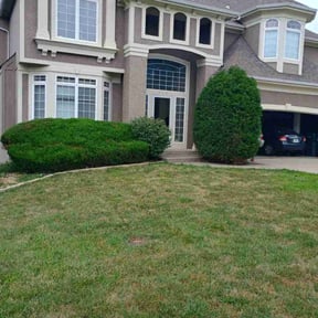 Bush Trimming by Mabin Lawn Service reviewed on January 4, 2025
