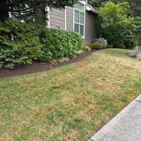 Flower Bed Weeding by LSLTDallas/FortWorthTruGreen reviewed on June 6, 2025