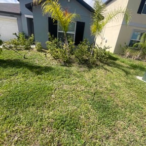 Flower Bed Weeding by MULTIMIL reviewed on June 26, 2025