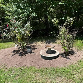 Bush Trimming by Y.A.Y Landscaping reviewed on May 12, 2025
