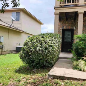 Bush Trimming by Kent Lawn Salon reviewed on July 4, 2022