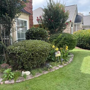 Bush Trimming by King&#039;s Scapes of Atlanta LLC reviewed on November 22, 2024