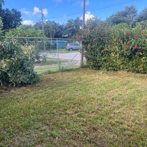 Cleanups by Big green landscaping reviewed on July 24, 2022