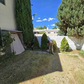 Bush Trimming by Blue hat NM reviewed on November 27, 2024