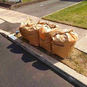 Leaf Removal by DBHLANDSCAPING reviewed on July 7, 2020