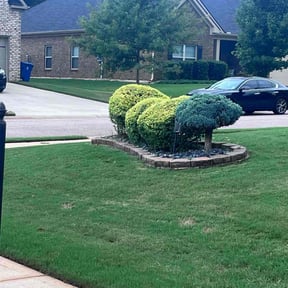 Bush Trimming by Madison Lawn Care reviewed on September 21, 2024