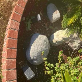 Flower Bed Weeding by Kleen Kutz reviewed on May 4, 2022