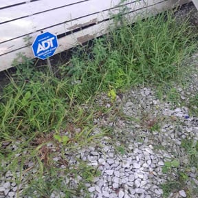 Flower Bed Weeding by L&H Lawncare reviewed on May 12, 2023