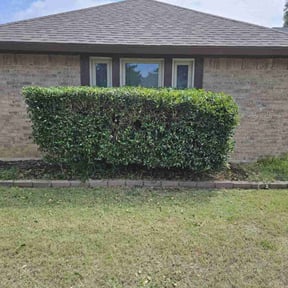 Bush Trimming by Corey's lawncare reviewed on March 7, 2022
