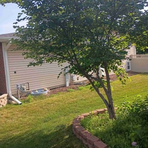 Bush Trimming by PSI Powerwash and Lawn Mowing reviewed on July 1, 2022