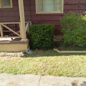 Bush Trimming by DeGore Landscaping reviewed on July 3, 2024