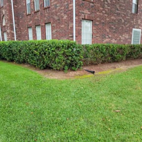 Flower Bed Weeding by GLOBAL GENERAL LLC reviewed on June 19, 2025