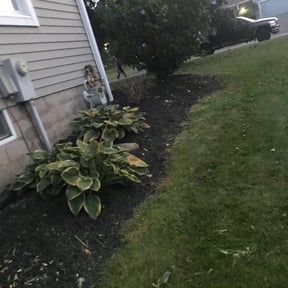 Landscaping by CSS Property Maintenance Services reviewed on June 28, 2022
