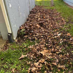 Cleanups by Elogantlawn, llc reviewed on July 4, 2025