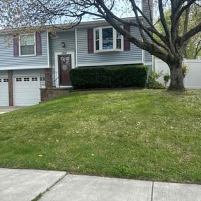 Bush Trimming by Green City Landscaping Co LLC reviewed on April 12, 2025