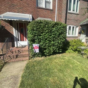 Bush Trimming by HeyYall landscaping reviewed on August 8, 2020