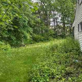 Leaf Removal by Faison&sons reviewed on June 10, 2022