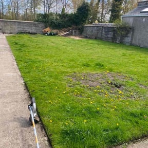 Cleanups by Luke&#039;s lawn care reviewed on July 29, 2021