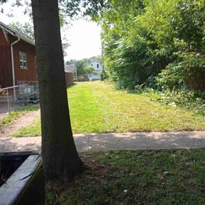 Bush Trimming by Contreras Outdoors reviewed on November 26, 2024