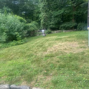 Bush Trimming by Legacy Lawn Pros reviewed on May 3, 2022