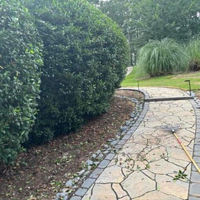 Bush Trimming by Carter Lawn Service reviewed on May 27, 2022