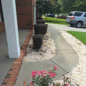 Bush Trimming by Stream Scene Landscaping reviewed on March 26, 2025