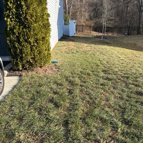 Leaf Removal by Shoreline landscaping reviewed on May 18, 2022