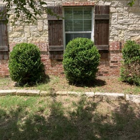 Bush Trimming by Kievs Cleaning Service llc reviewed on July 20, 2022