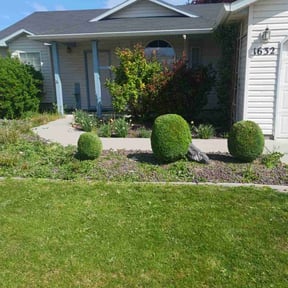 Bush Trimming by Visions Landscaping reviewed on May 26, 2022
