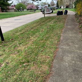 Cleanups by Reliable Cuts Lawn service LLC reviewed on June 21, 2022