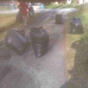 Leaf Removal by Trevor Hall reviewed on May 26, 2022