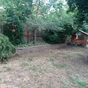 Bush Trimming by 5471 Landscapes reviewed on May 4, 2025