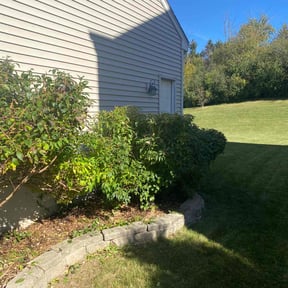Bush Trimming by Lindsay’s lawncare reviewed on August 3, 2022