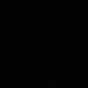 Bush Trimming by Affordable Property Maintenance and Landscaping reviewed on May 21, 2025