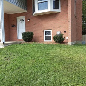 Bush Trimming by Copperfield Lawn reviewed on July 1, 2022