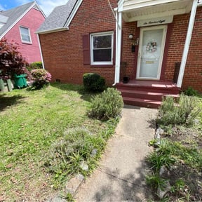 Bush Trimming by Js Lawn Care reviewed on October 23, 2024