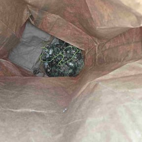 Cleanups by LSLTAustin/SanAntonioEmerald reviewed on March 6, 2025