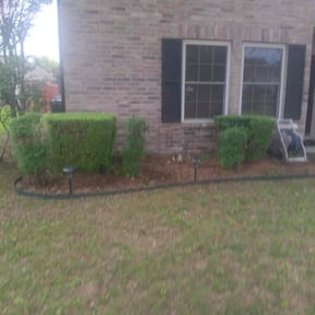 Bush Trimming by Handy Honey Do LLC reviewed on June 8, 2022